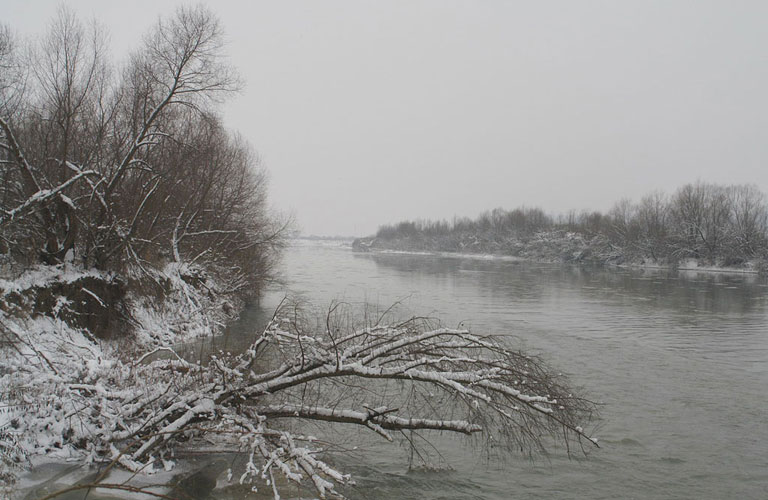 Foto Somesul inghetat (c) Petru Goja
